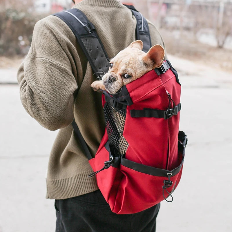 Dog Backpack