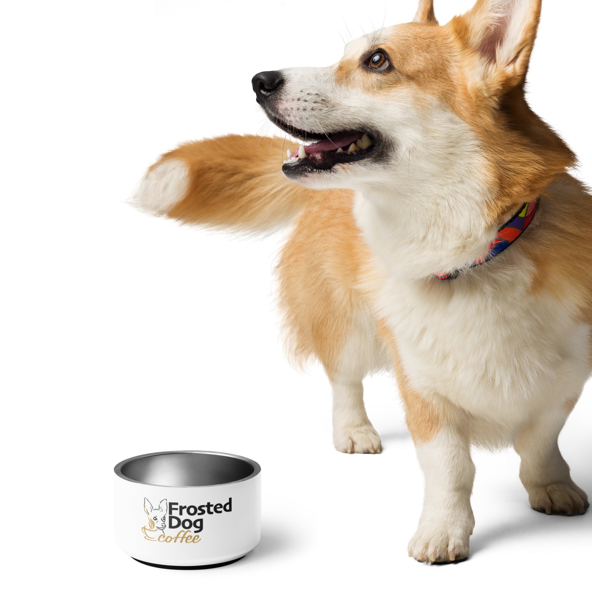Frosted Dog Personalized Pet Bowl | Piper’s Roast Edition